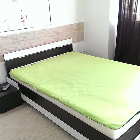 Apartment Studio Nicu